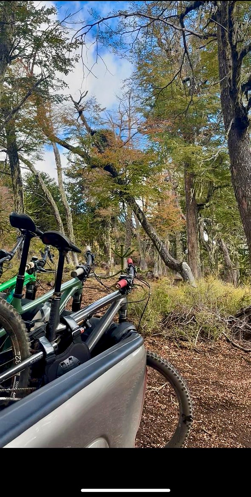 E-bikes en bosque nativo — Valle El Cañi Araucanía